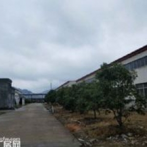 出租松门一楼16000平方，2000起分，电很大，可做污染