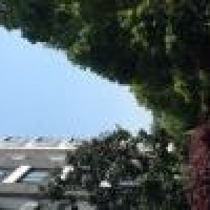 50亩土地、3300万出售