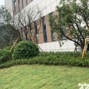 出售宁海产业园标准厂房，2000平米，办三证，付两成，非中介