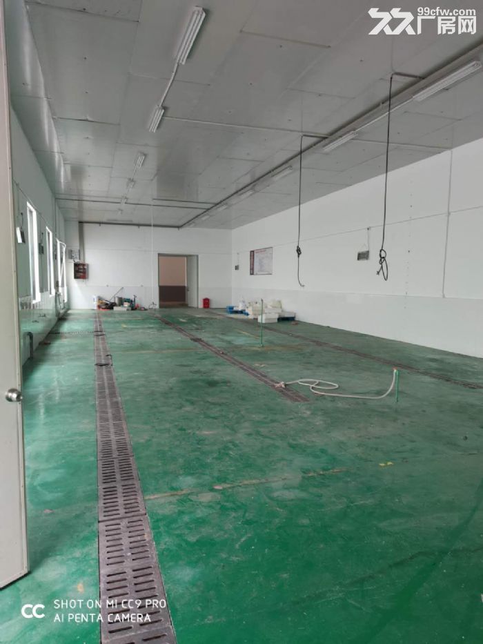 临海市花街厂房 冷库 办公室出租 可分割 独门独院 大货车进出方便不受交通管制-图6