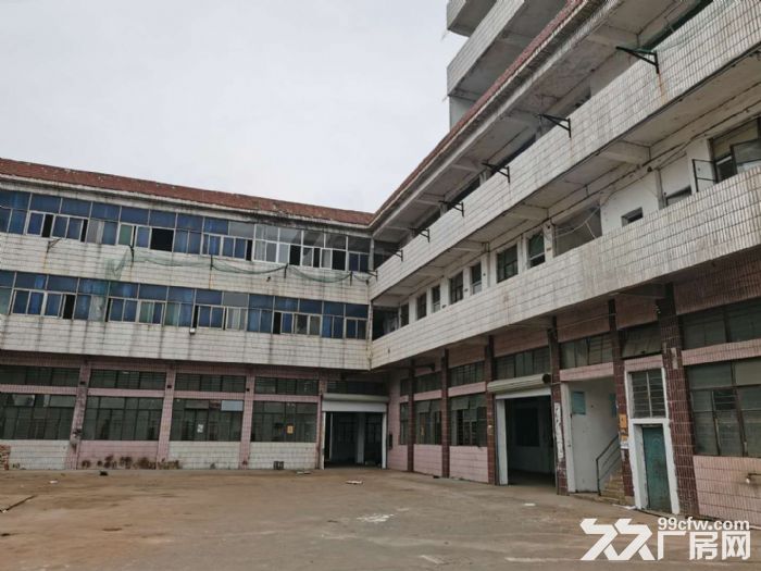出租台州温岭泽国厂房5900平 均价17.7元/月/平