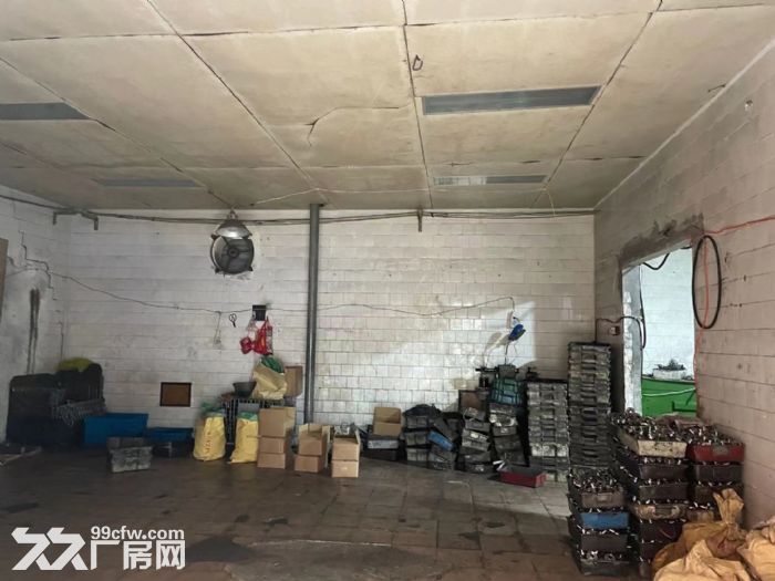 玉环 坎门 厂房出租 110平 13566837613-图4