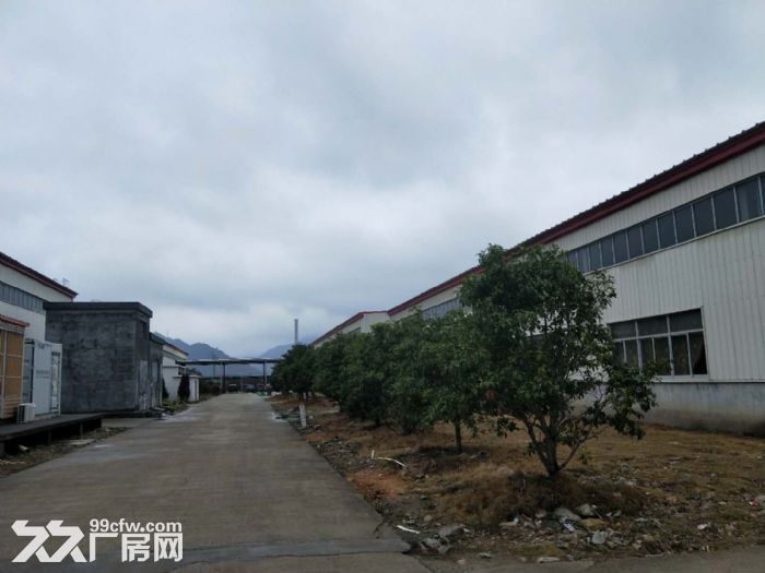 出租松门一楼16000平方，2000起分，电很大，可做污染